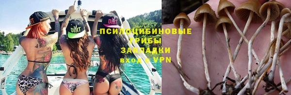 дурь Нефтегорск