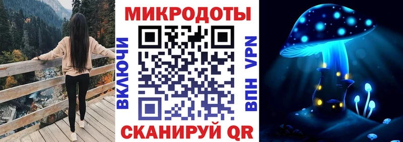 маркетплейс официальный сайт  Полтавская  Псилоцибиновые грибы мицелий 